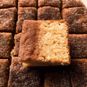 Apple Cider Donut Cake