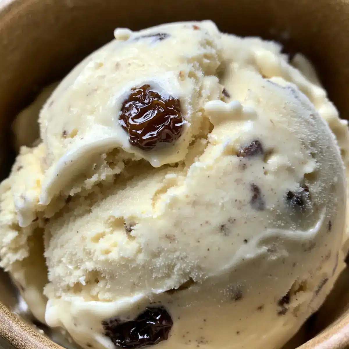 Rum Raisin Ice Cream